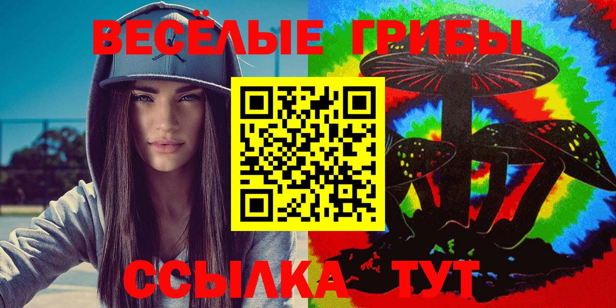 Галлюциногенные грибы Magic Shrooms Кольчугино