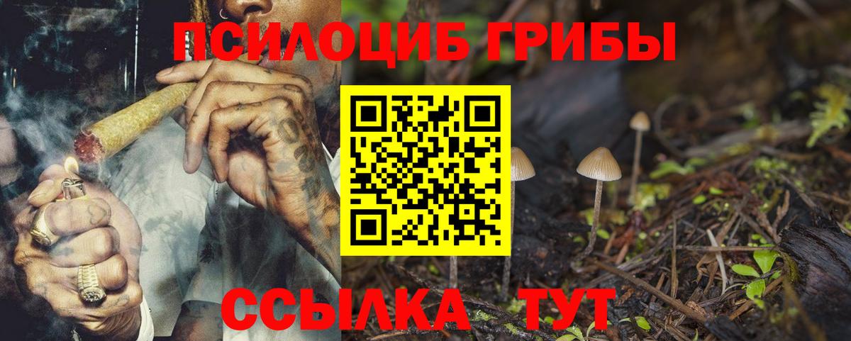 цены   Псилоцибиновые грибы Cubensis  Вход с VPN  Псилоцибиновые грибы Cubensis  Кольчугино 