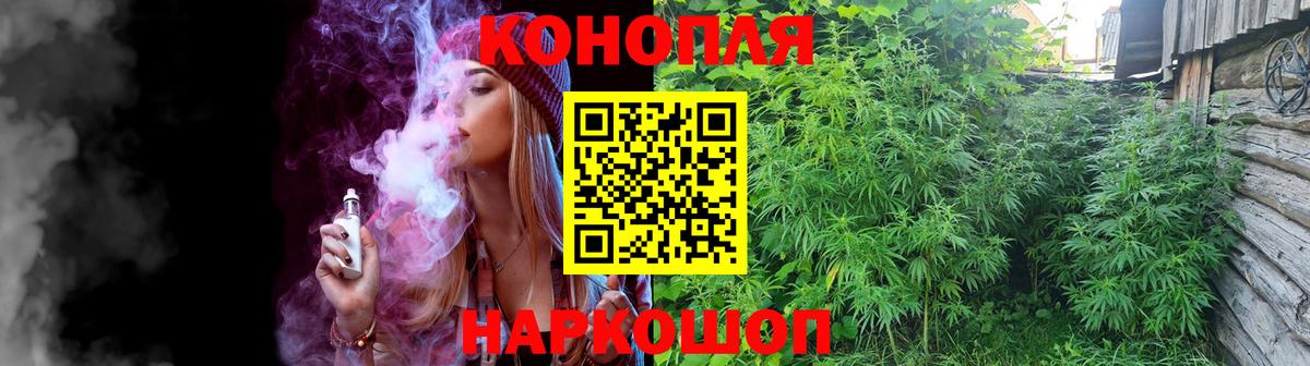 Шишки марихуана сатива  Марихуана семена  Кольчугино  Вход с VPN 